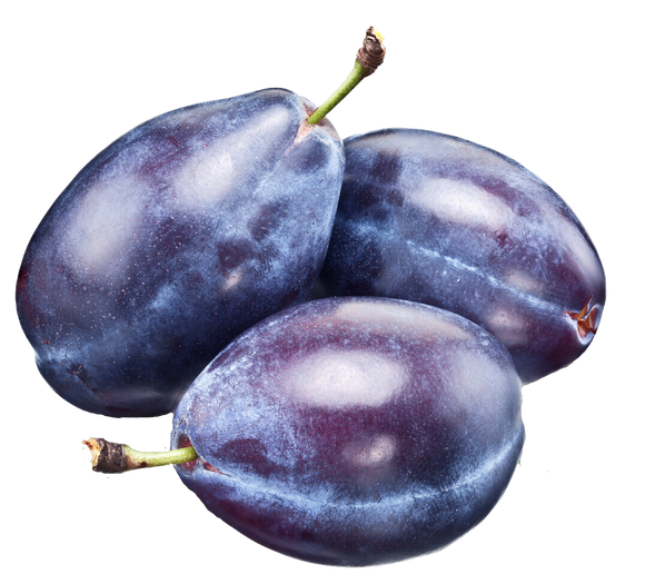 Organic Italian Prune Plums - PINT