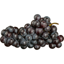 Organic Jupiter Grapes - TOTE-2
