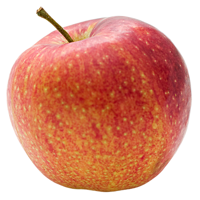 Organic Kiku Apple - EACH