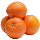 Organic Heirloom Navel Orange - EACH-2