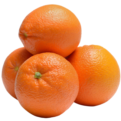 Organic Sour Marmalade Orange - EACH