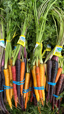 Organic Rainbow Carrots - BUNCH-1
