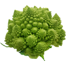 Organic Romanesco Broccoli - EACH-2