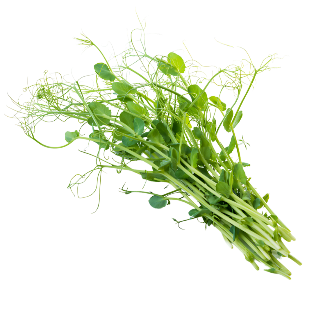 Organic Pea Tendrils - BUNCH