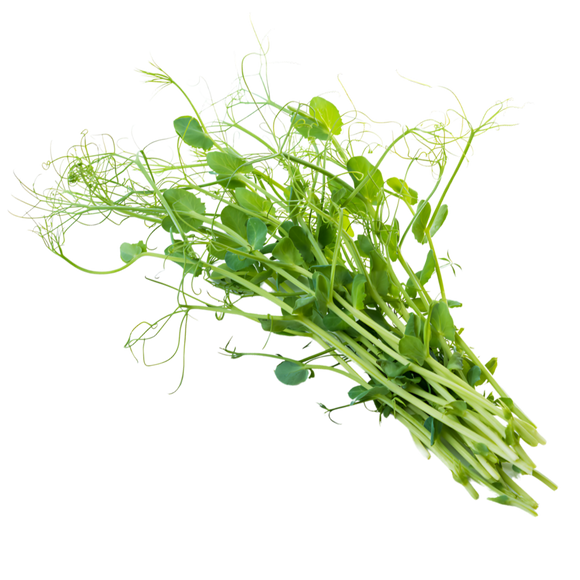 Organic Pea Tendrils - BUNCH