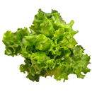 Juneau Greens Lettuce - 5 OZ BAG-2