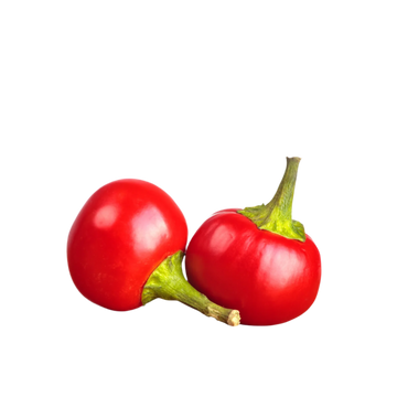 Organic Cherry Bomb Chili Peppers - EACH