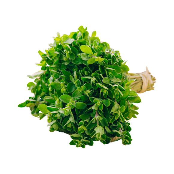 Organic Fresh Marjoram - 3/4 OZ