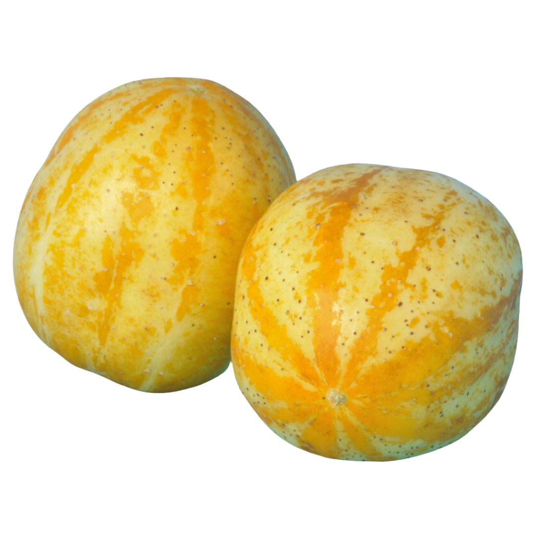 Organic Lemon Cucumber - PER LB