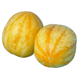 Organic Lemon Cucumber - PINT