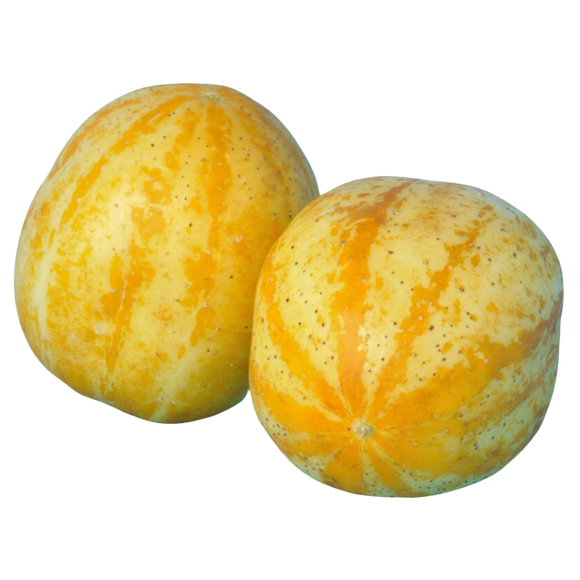 Organic Lemon Cucumber - PINT