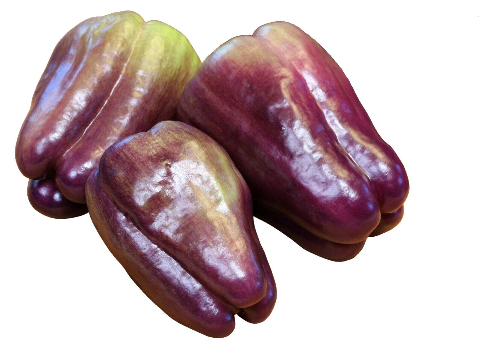 Organic Purple Bell Peppers - 1/2 LB
