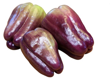 Organic Purple Bell Peppers - EACH