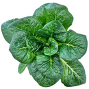 Juneau Greens Romaine - 5 OZ-2