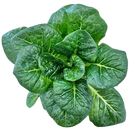 Juneau Greens Romaine - 5 OZ-1