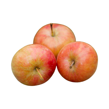 Organic Heirloom Wickson Crabapple - PINT