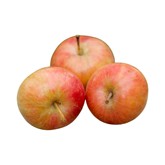 Organic Heirloom Wickson Crabapple - PINT