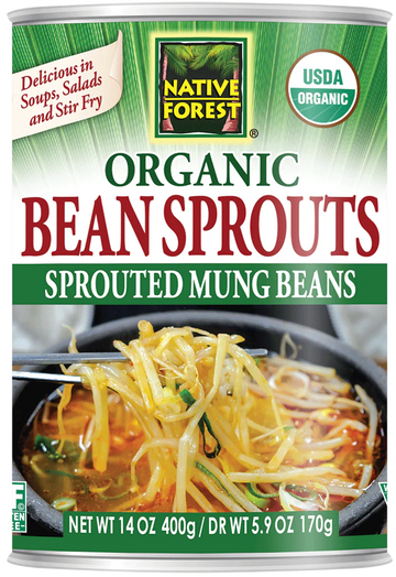 Organic Bean Sprouts - 14 OZ