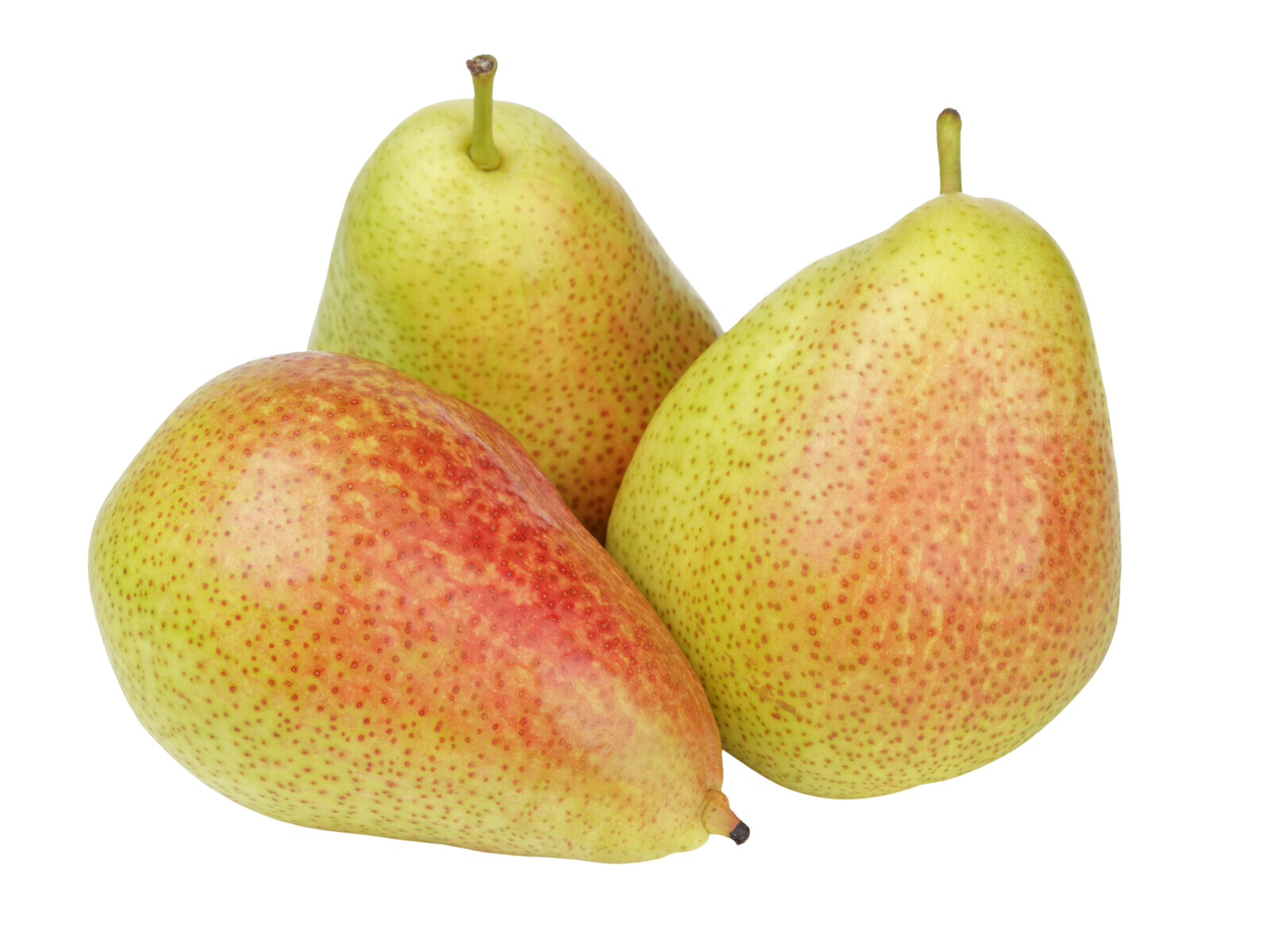 Organic Passe Crassane Pear - EACH