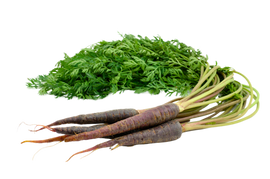 Organic Purple Carrots - BUNCH