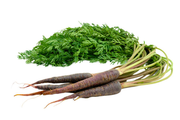 Organic Purple Carrots - BUNCH