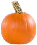 Organic Pie Pumpkin - EACH-1