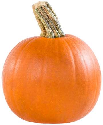 Organic Pie Pumpkin - EACH