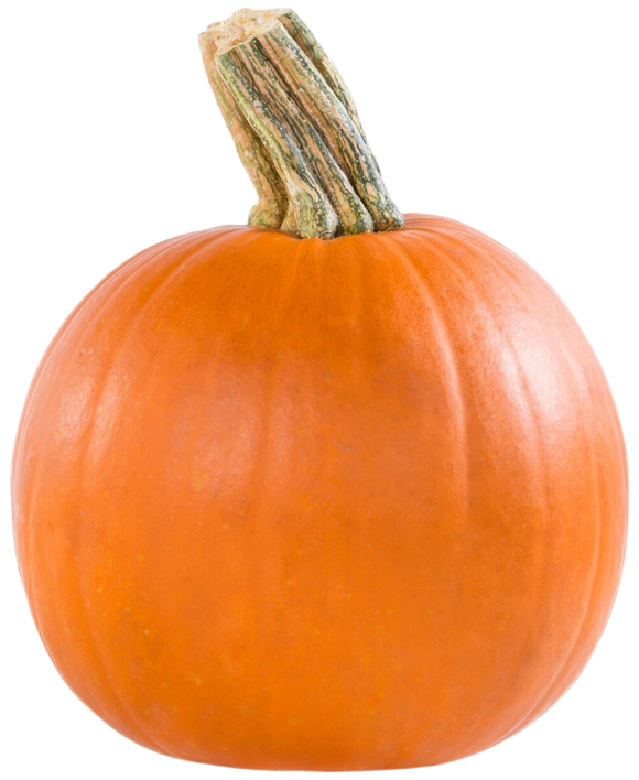 Organic Pie Pumpkin - EACH