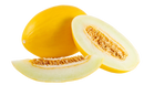 Organic Canary Melon - EACH-2