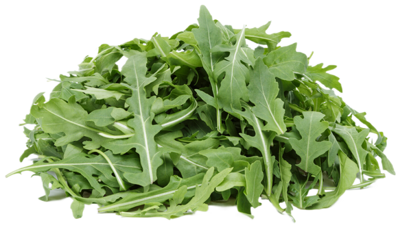 Organic Baby Arugula - 5 OZ