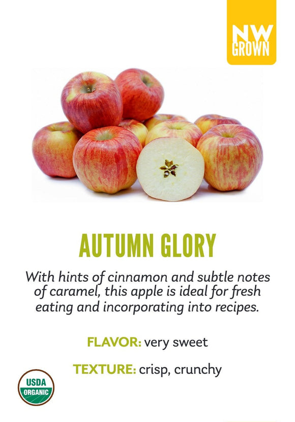 Autumn Glory variety card