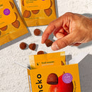 Passionista Organic Natural Fruit Snacks (5-pack)-5