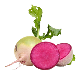 Organic Watermelon Radishes - PER LB
