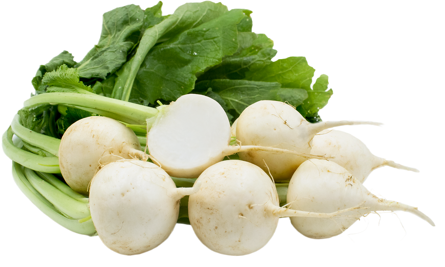 Organic Baby Turnips - BUNCH