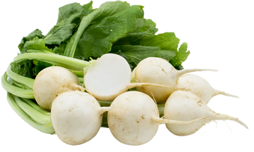Organic Baby Turnips - BUNCH
