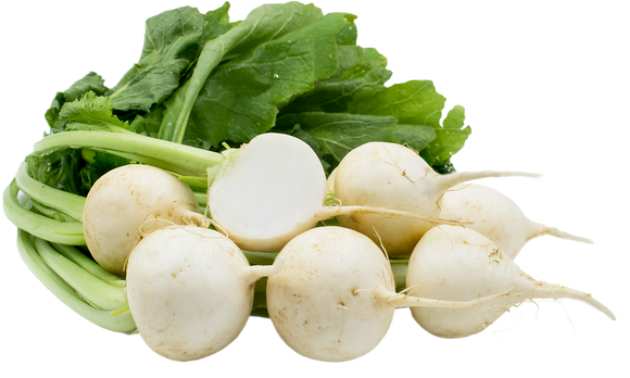 Organic Baby Turnips - BUNCH