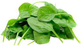 Organic Baby Spinach - 5 OZ