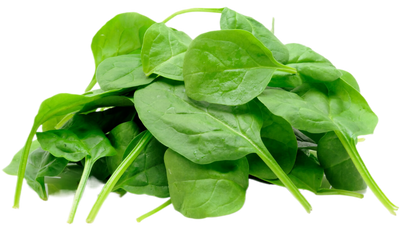 Organic Baby Spinach - 5 OZ