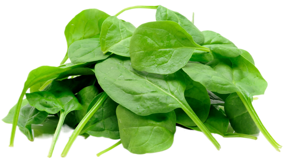 Organic Baby Spinach - 5 OZ