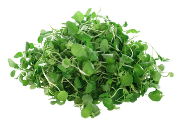 Organic Watercress - BUNCH