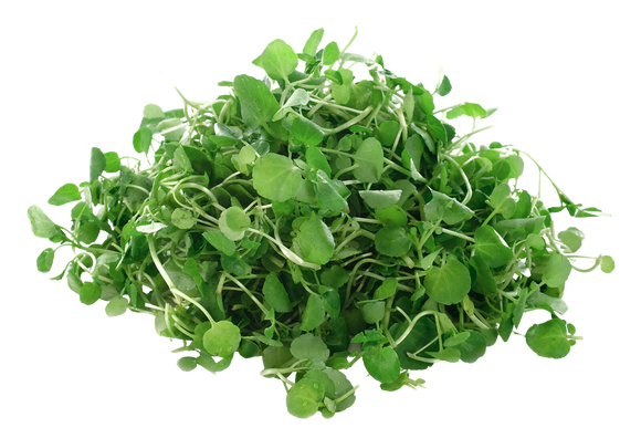 Organic Watercress - BUNCH
