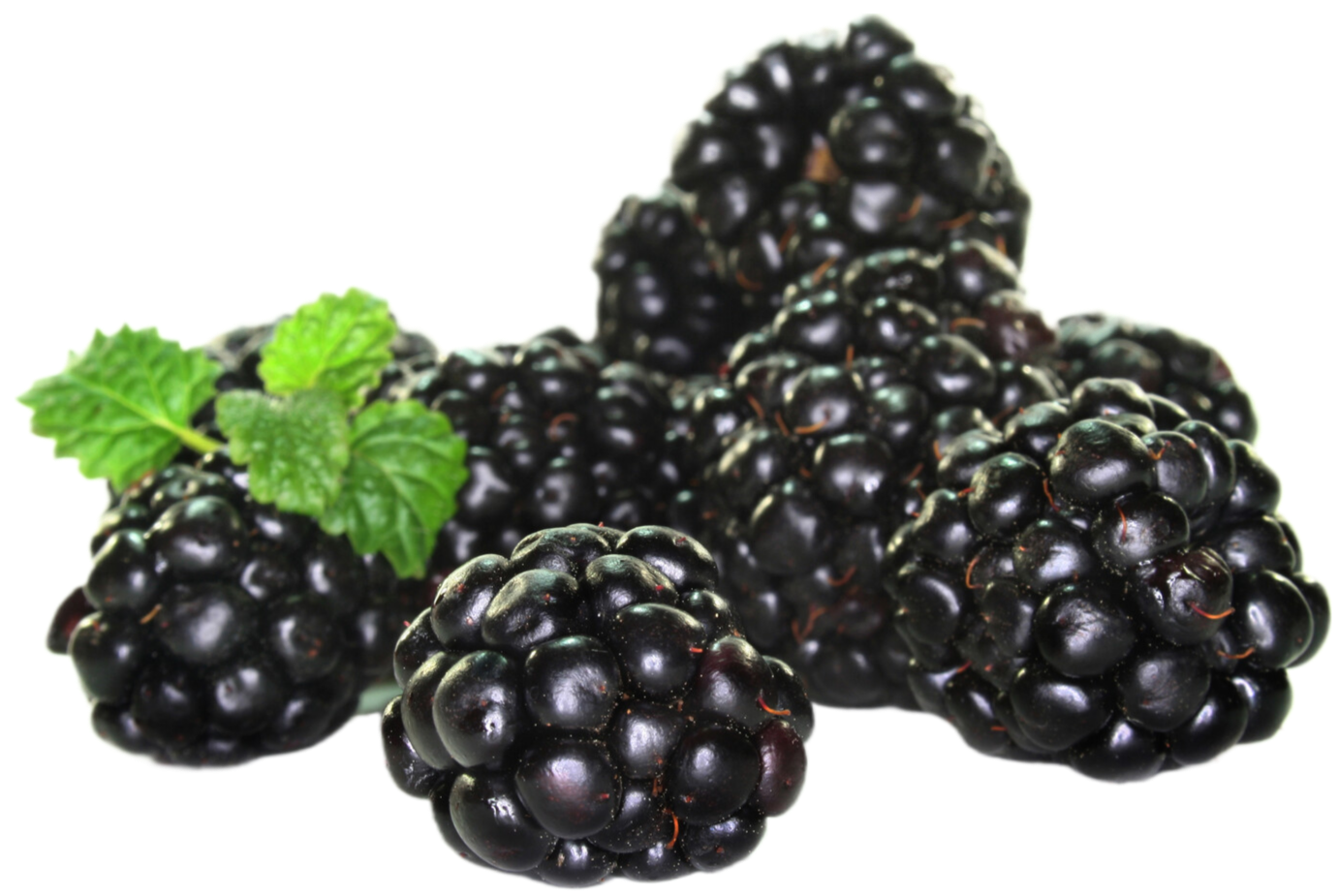 Organic Blackberries - 6 OZ