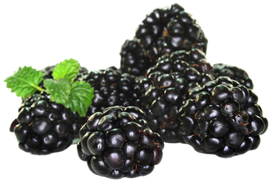 Organic Blackberries - 1/2 PINT