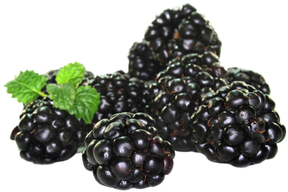 Organic Blackberries - 1/2 PINT