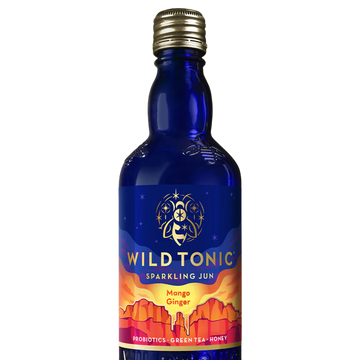 Mango Ginger Kombucha - 12 FO