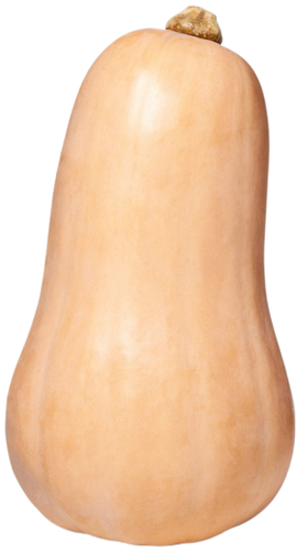 Organic Butternut Squash - EACH