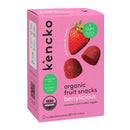 Berrylicious Organic Natural Fruit Snacks (5-pack)-2