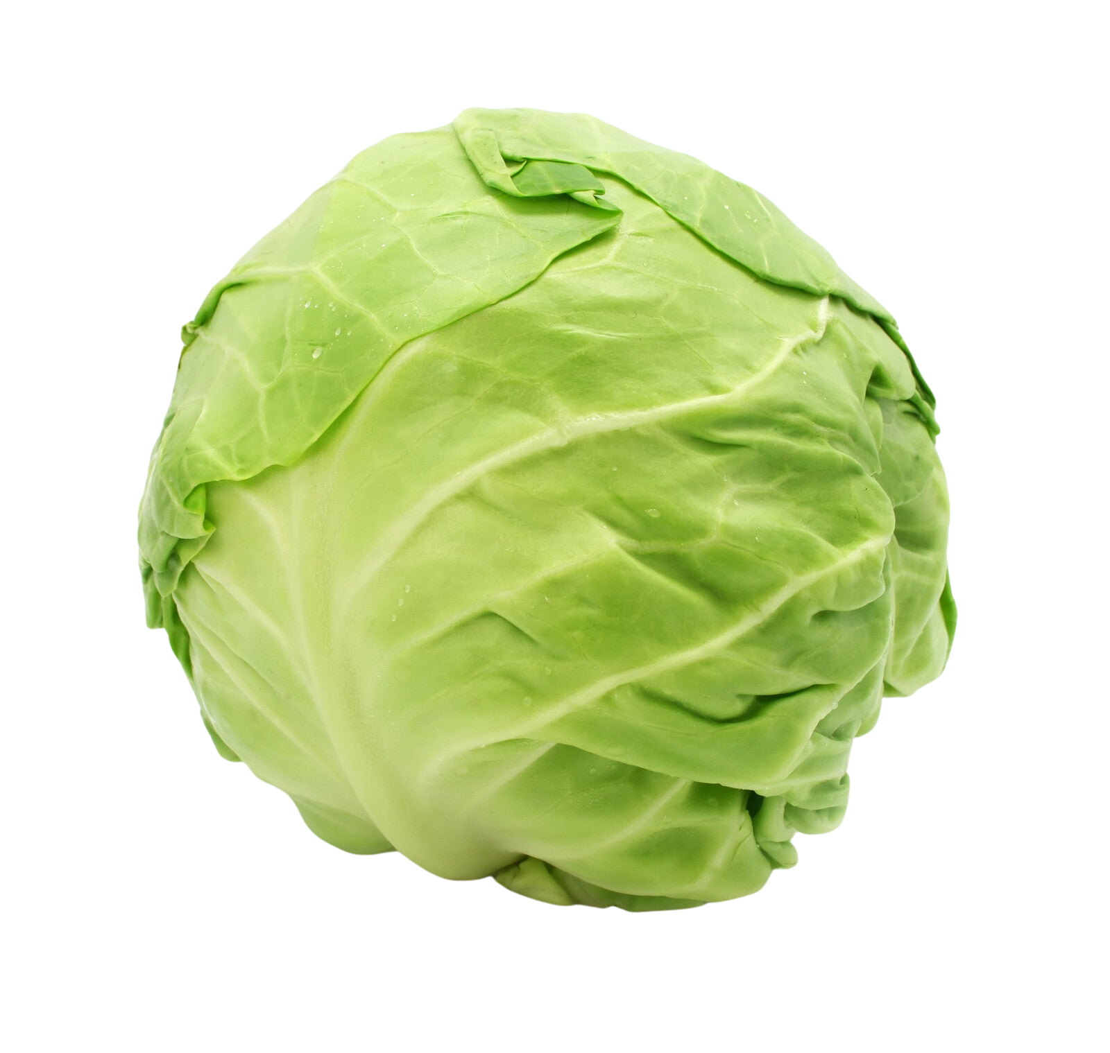 Organic Green Cabbage - EACH