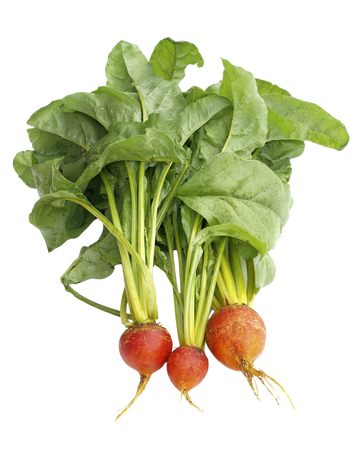 Organic Gold Beets - BUNCH
