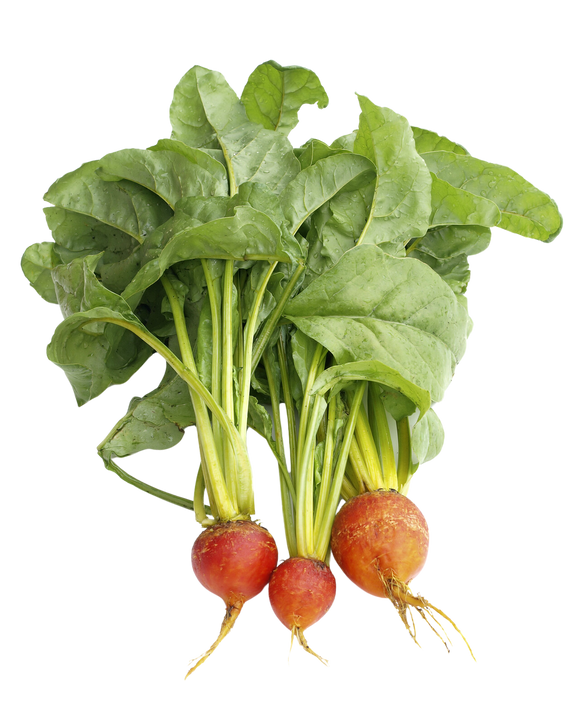 Organic Gold Beets - BUNCH